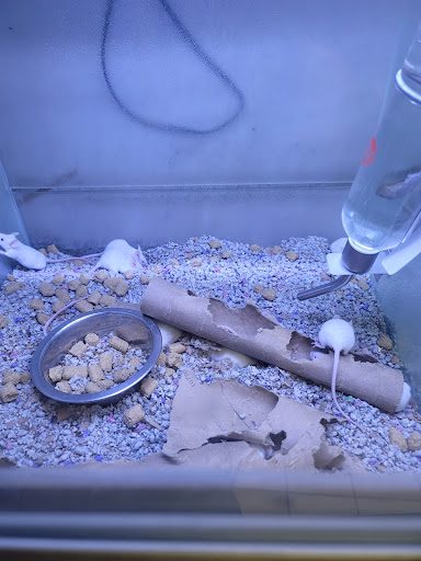 Pet Store «Moby Dick Pet Store Inc», reviews and photos, 3700 Sashabaw Rd, Waterford Twp, MI 48329, USA