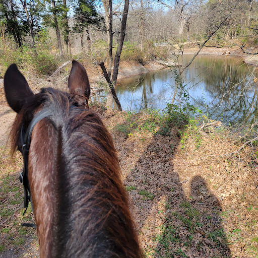 Park «Bear Creek Nature Park», reviews and photos, 1000 Bear Creek Rd, Lancaster, TX 75146, USA