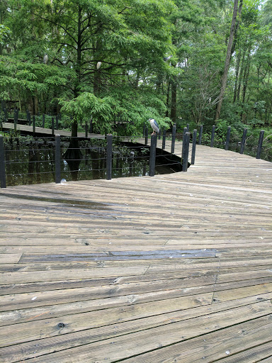 Botanical Garden «Brookgreen Gardens», reviews and photos, 1931 Brookgreen Garden Dr, Murrells Inlet, SC 29576, USA