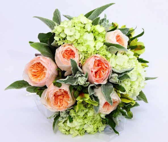 Reviews of Roma Blooms | CBD Auckland Florist in Auckland - Florist