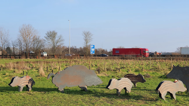 Beoordelingen van Voedselbos zwijntjesbos in Gent - IJzerhandel