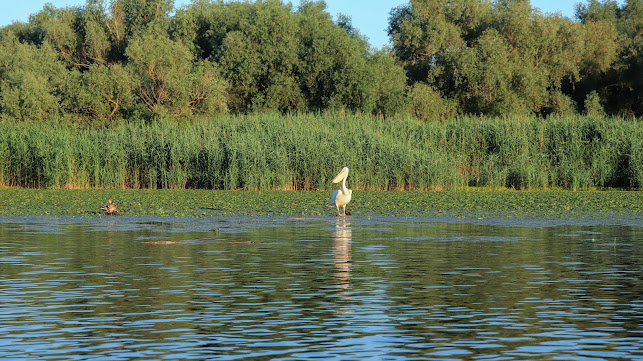 Danube Delta Riders - <nil>