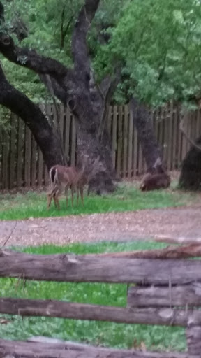 Park «McGimsey Scout Park», reviews and photos, 10810 Wedgewood Dr, San Antonio, TX 78230, USA