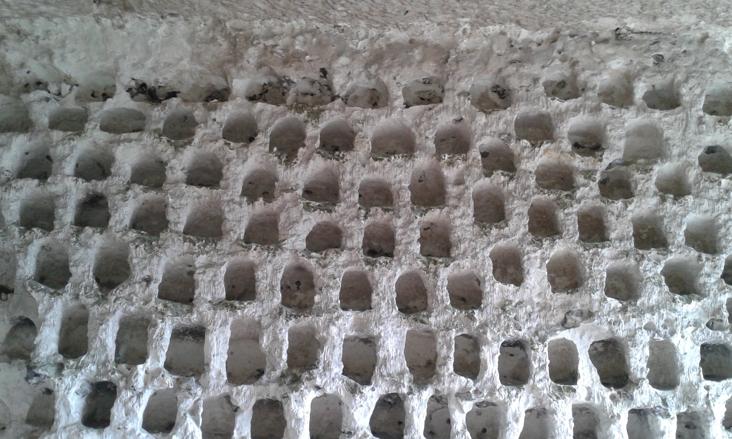 Photo n° 10 de l'avis de Nathalie.u fait le 30/07/2017 à 16:28