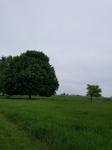 Nature Preserve «Brunner Family Forest Preserve», reviews and photos, 18N681 State Rte 31, Carpentersville, IL 60110, USA
