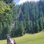 Photo n°5 de l'avis de Vale. fait le 14/08/2022 à 12:49 sur le  Hotel Pozzamanigoni à Sëlva