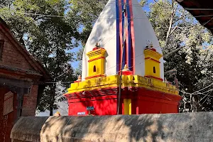 Dumja Kusheshwar Mahadev Temple image