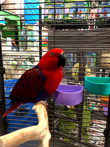 Pet Supply Store «Super Pet Store», reviews and photos, 5220 S Pulaski Rd, Chicago, IL 60632, USA