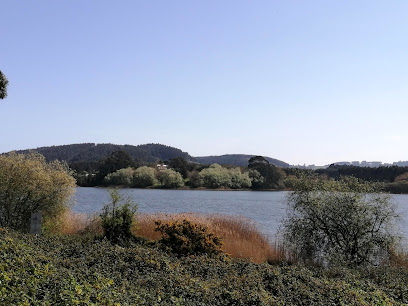 Reservoir - Embalse de la Granda - Allande