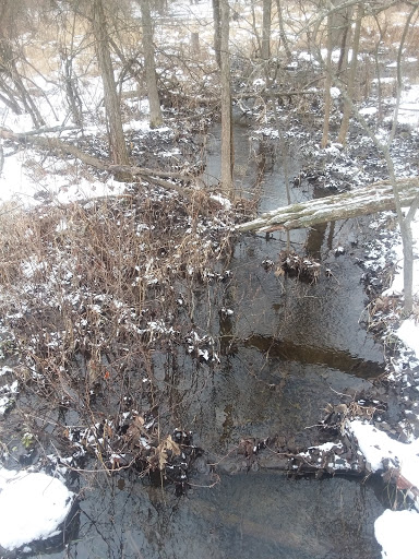 Nature Preserve «Leonard Preserve», reviews and photos, N Union St, Manchester, MI 48158, USA