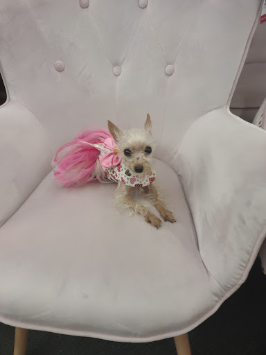 Craft Store «Hobby Lobby», reviews and photos, 3775 Oxford Station Way, Winston-Salem, NC 27103, USA