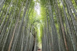 Bamboo Path (Take-no-michi) image