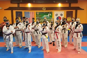 Ha's Taekwondo Academy image