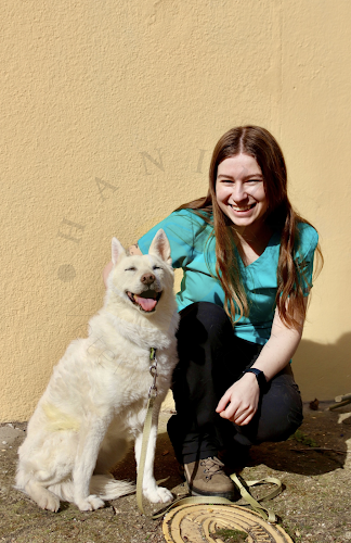 HANIMA Veterinary Clinic - Veterinář