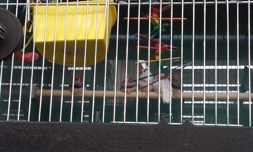 Pet Supply Store «Pet Supplies Plus», reviews and photos, 2155 Delaware Ave, Buffalo, NY 14216, USA