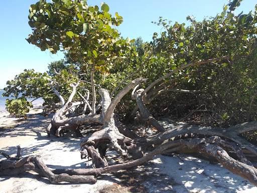 Nature Preserve «Robinson Preserve», reviews and photos, 9800 Manatee Ave W, Bradenton, FL 34209, USA