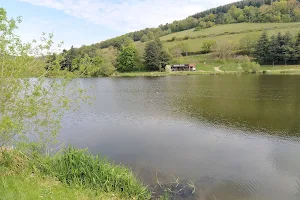 Lac du Ronzey image