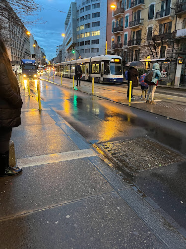 Institut Xiaotong, Hao Xie - Meyrin