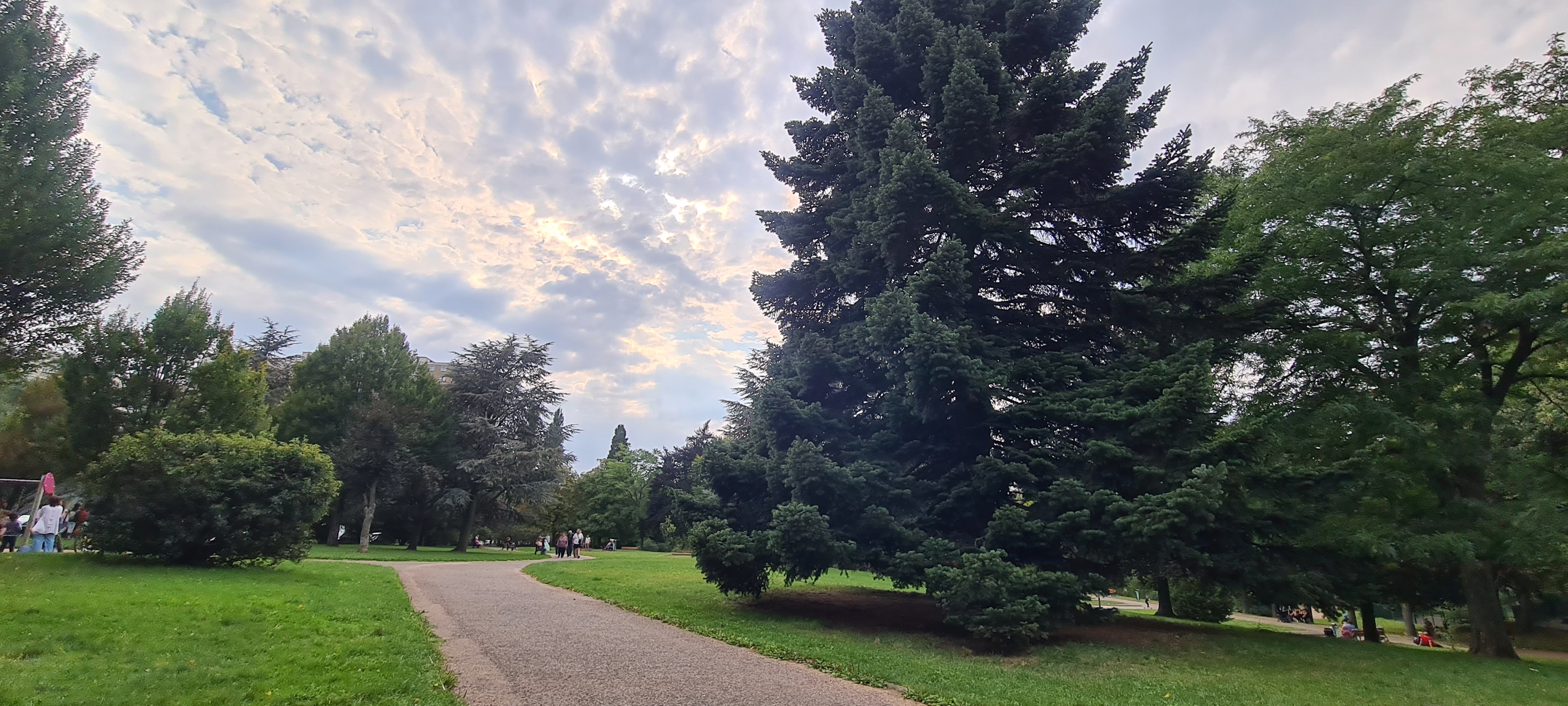Photo n° 1 de l'avis de sauceproduc. fait le 30/09/2021 à 08:25