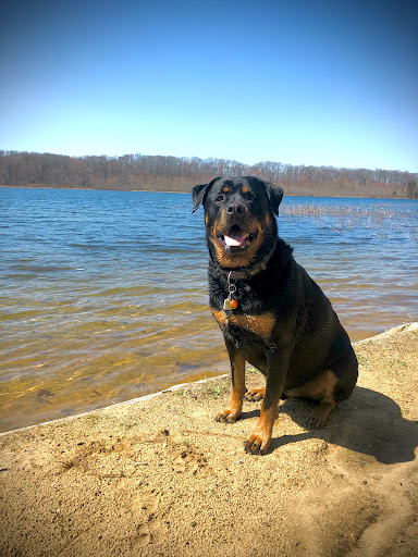 Grass Lake Animal Hospital image