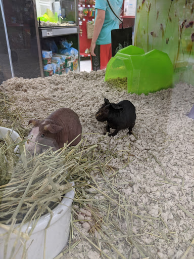 Pet Supply Store «Petco Animal Supplies», reviews and photos, 415 E University Dr, Granger, IN 46530, USA