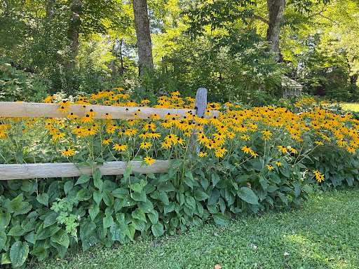General Store «The Vermont Country Store Weston», reviews and photos, 657 Main St, Weston, VT 05161, USA