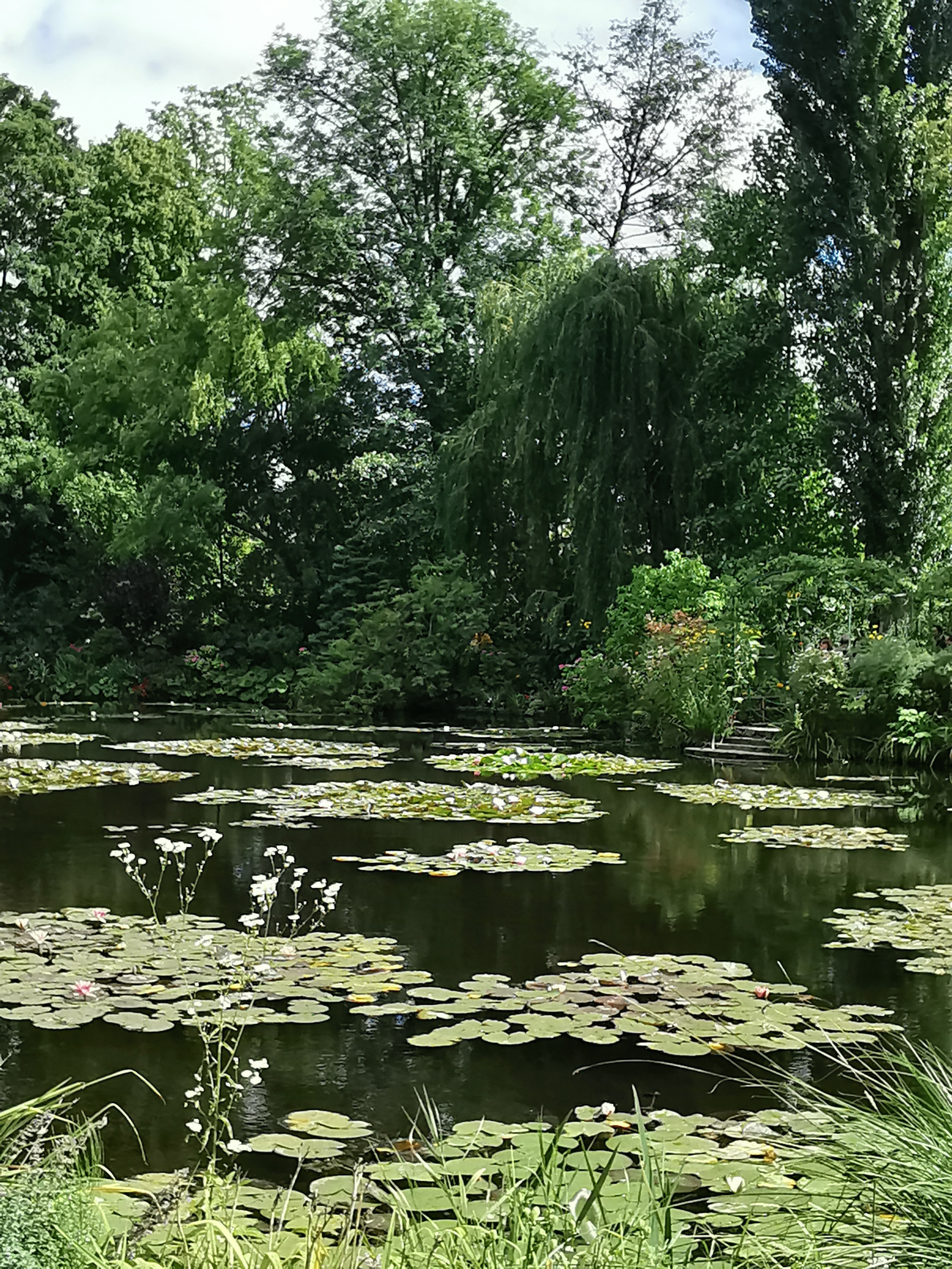 Photo n° 8 de l'avis de Francine.E fait le 27/08/2023 à 20:10
