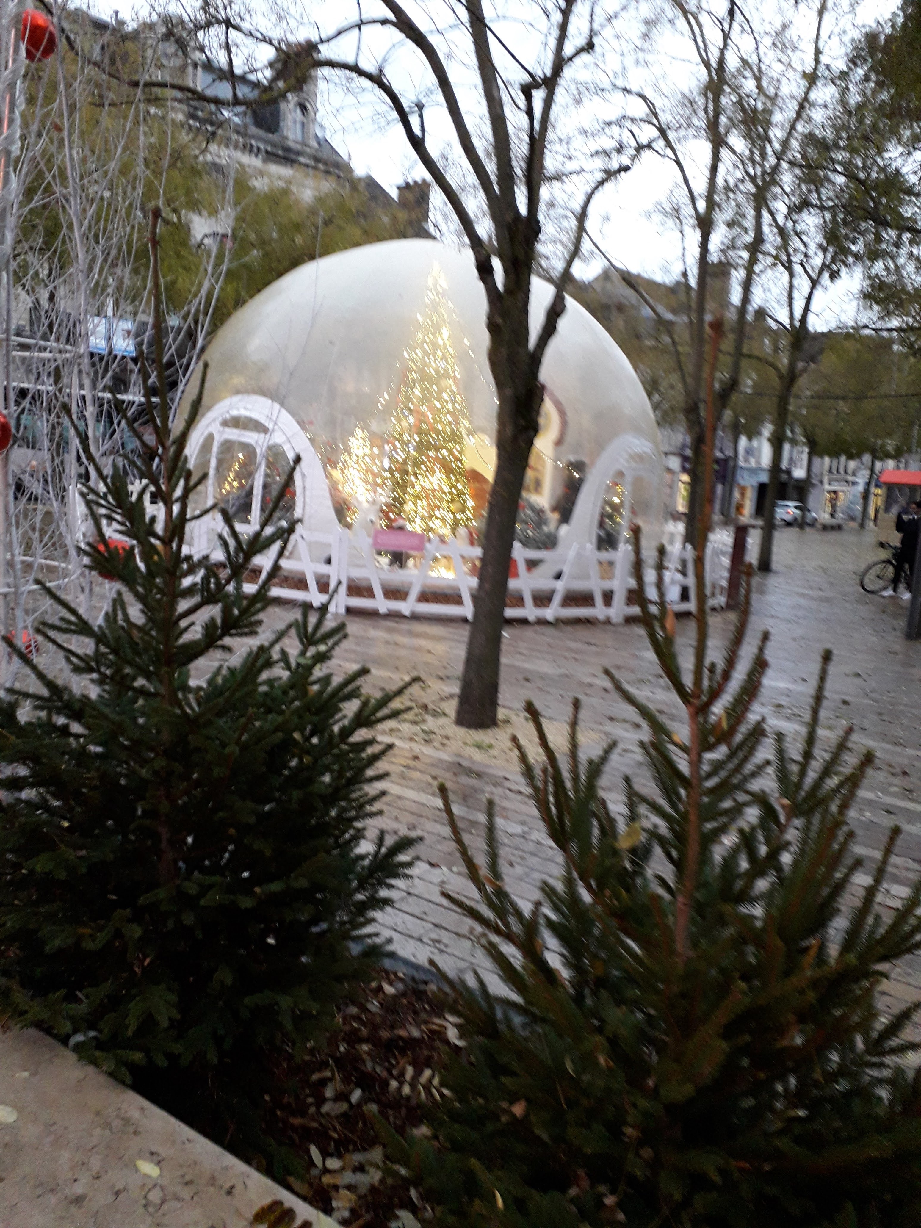 Photo n° 1 de l'avis de Christelle.o fait le 13/12/2020 à 18:42
