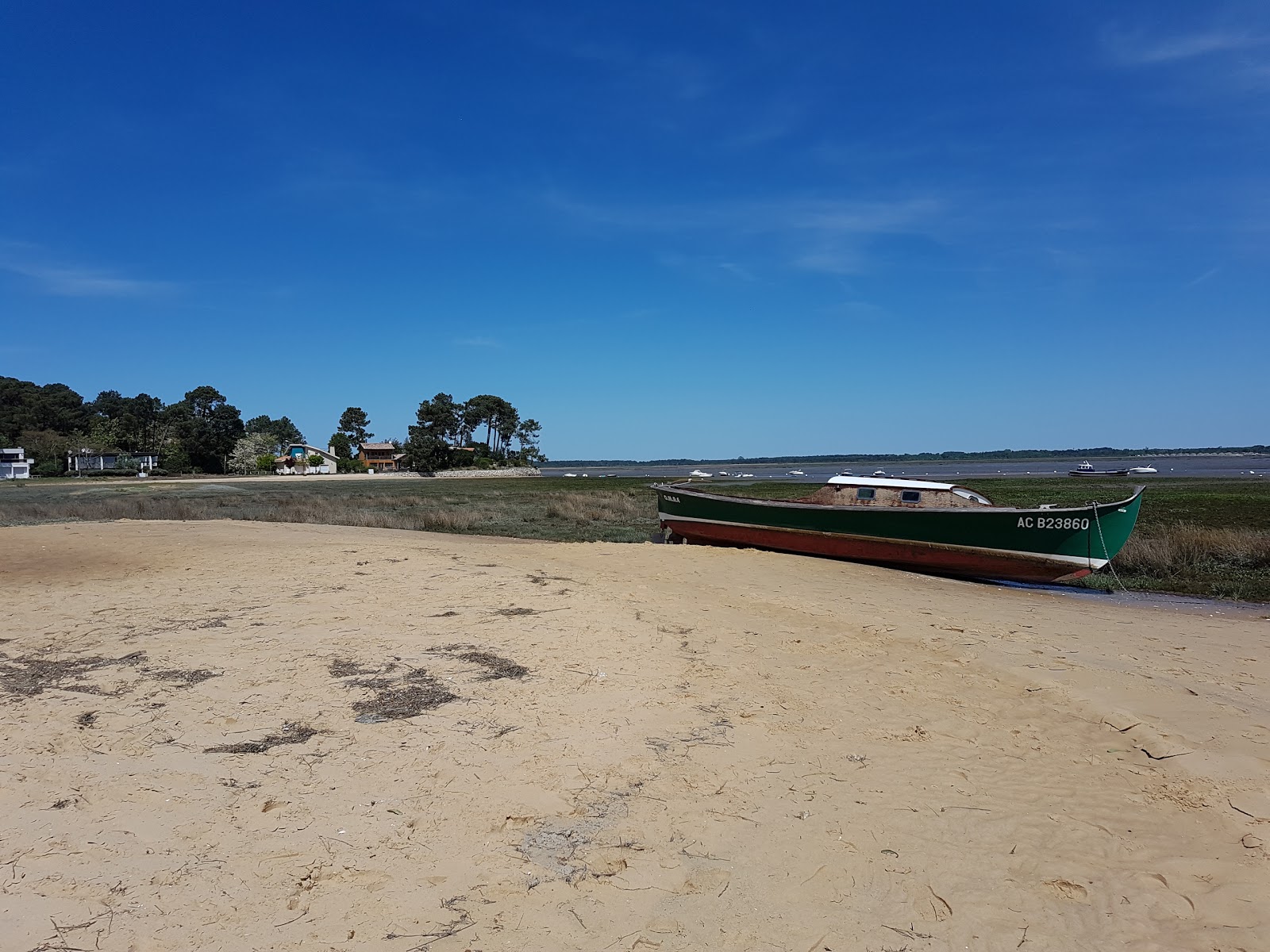 Photo de Bertic Beach avec un niveau de propreté de très propre