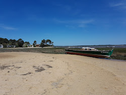 Photo de Bertic Beach avec un niveau de propreté de très propre