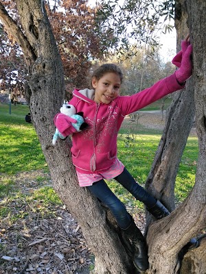 Montview Park - photo 91