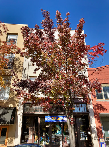 Tobacco Shop «Wonderland», reviews and photos, 33 Patton Ave, Asheville, NC 28801, USA