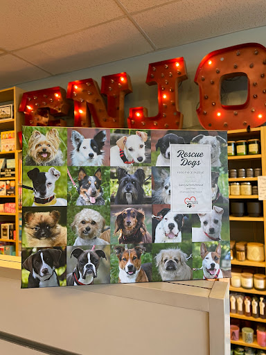 Gift Shop «ENJOY, AN URBAN GENERAL STORE», reviews and photos, 4723 N Lincoln Ave, Chicago, IL 60625, USA