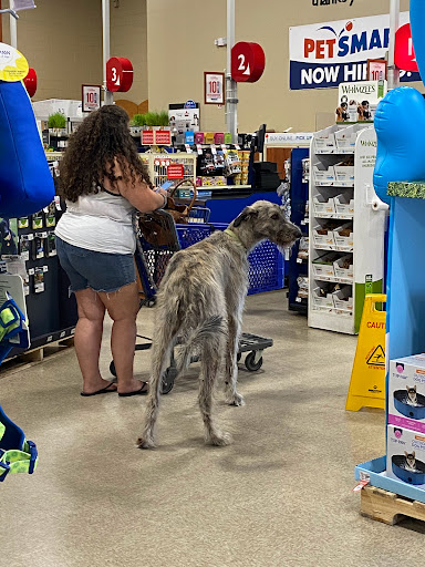 Pet Supply Store «PetSmart», reviews and photos, 849 E 23rd St, Panama City, FL 32405, USA