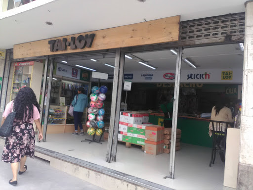 Tiendas para comprar un globo terráqueo en Arequipa
