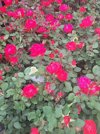 Home Improvement Store «The Home Depot», reviews and photos, 5771 Plank Rd, Fredericksburg, VA 22407, USA