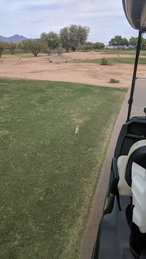 Golf Course «Talking Stick Golf Club», reviews and photos, 9998 E Indian Bend Rd, Scottsdale, AZ 85256, USA