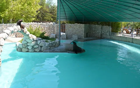 Parco Zoo Punta Verde image