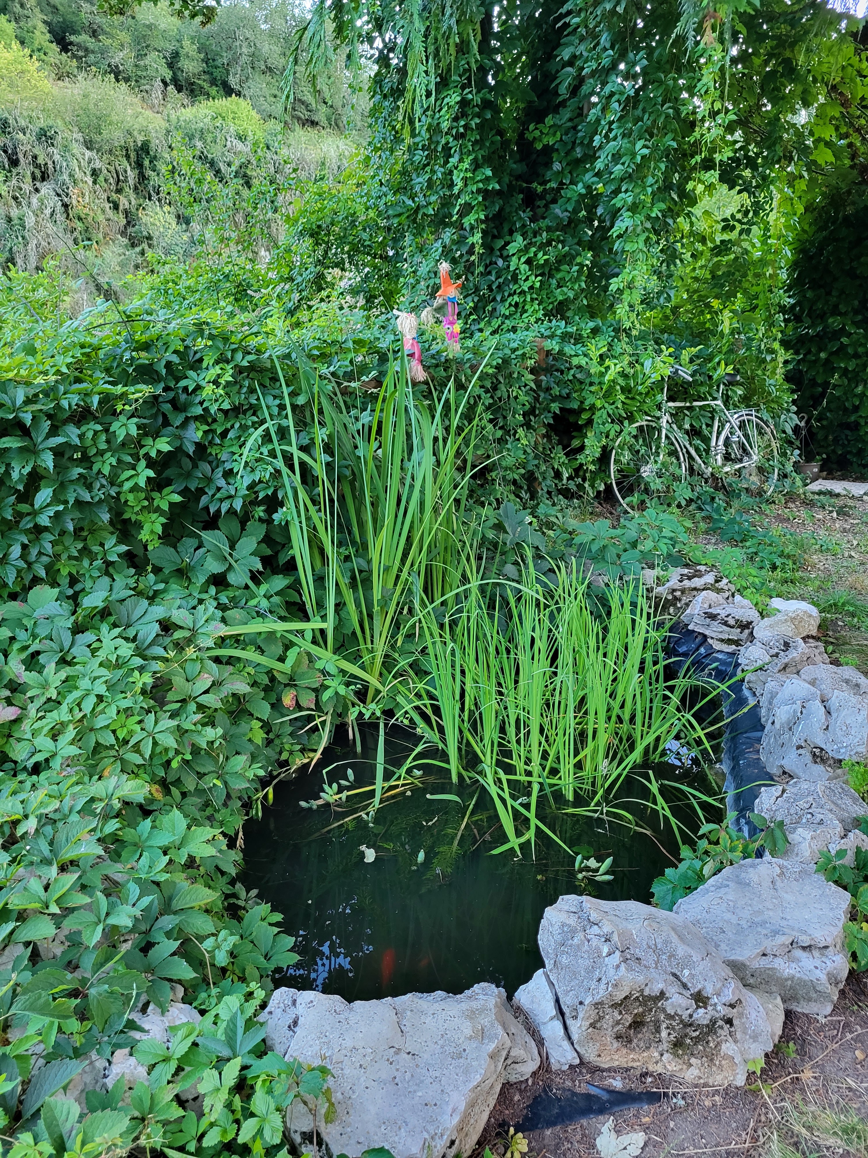 Photo n° 1 de l'avis de Murielle.e fait le 06/08/2023 à 15:42
