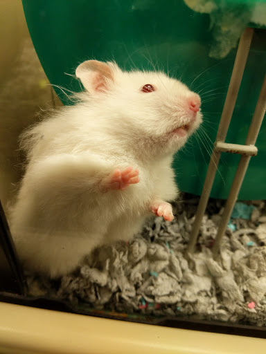 Pet Supply Store «PetSmart», reviews and photos, 1850 30th St, Boulder, CO 80301, USA