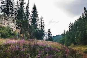 Lincoln National Forest image