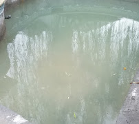 Clearwater Pool Service - Photo 3 - Car repair in Spring, TX, The Woodlands