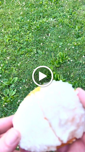 Bakery «Beach Donut Shop», reviews and photos, 344 E Main St, Clinton, CT 06413, USA