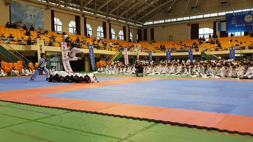 Taekwondo competition area Visalia