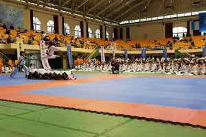Yoo's Martial Arts Academy (Hapkido, Kick Boxing) image