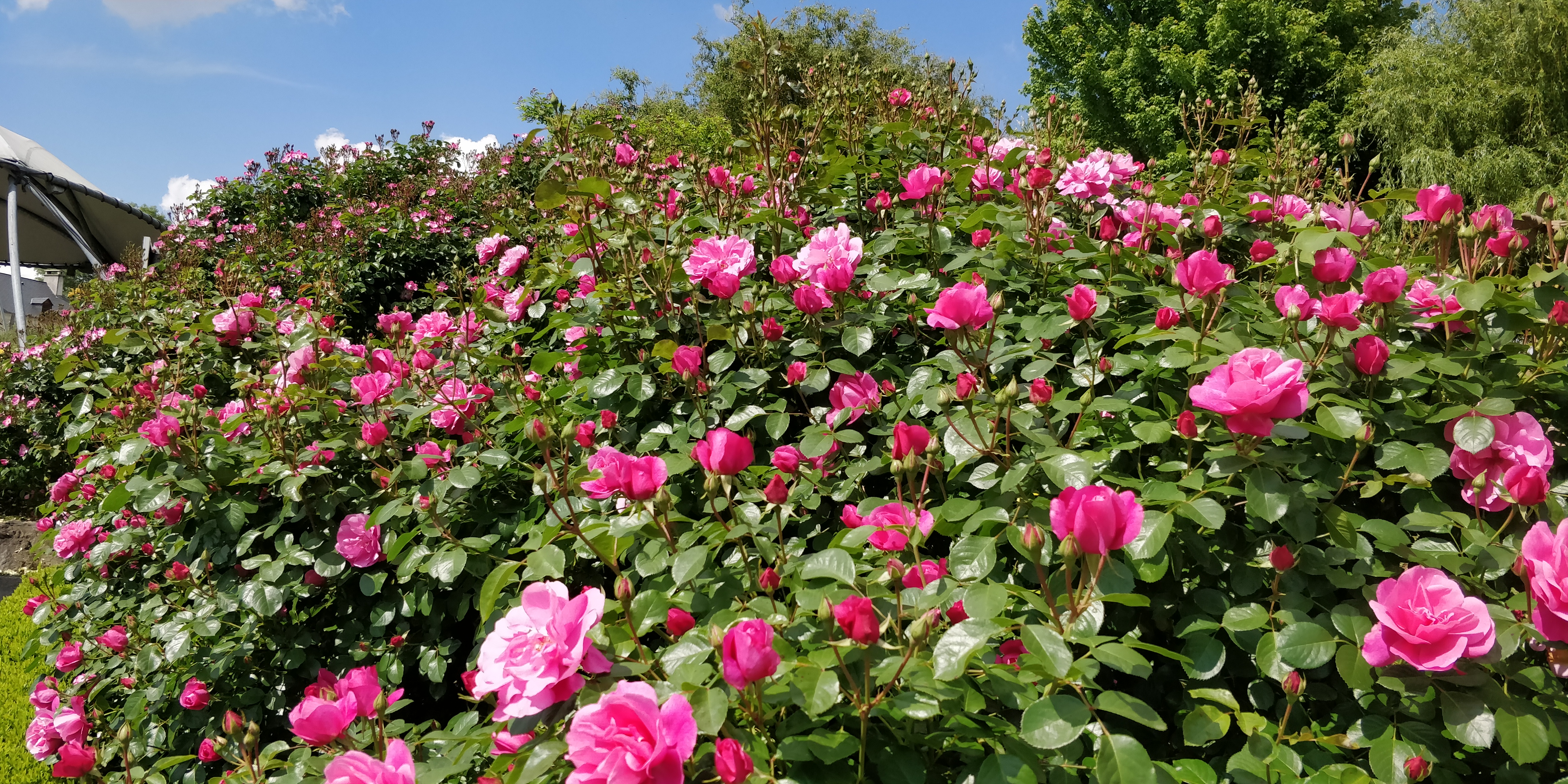 Photo n° 1 de l'avis de Daniel.a fait le 22/05/2018 à 16:31