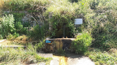 Source de la Drôme à La Bâtie-des-Fonds