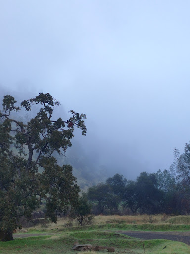 Nature Preserve «UC Davis - Stebbins Cold Canyon Natural Reserve», reviews and photos, CA-128, Winters, CA 95694, USA