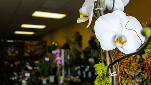 Florist «Bay Hill Florist», reviews and photos, 7784 Sand Lake Rd, Orlando, FL 32836, USA