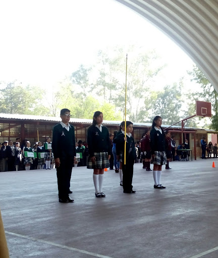 Elementary school 